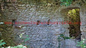 Canale Staino11